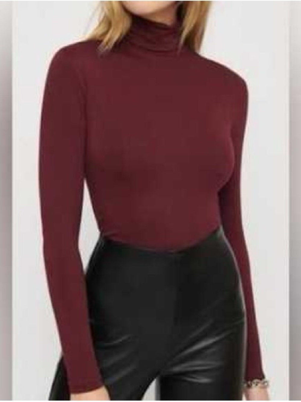 Aritzia maroon cropped turtleneck
